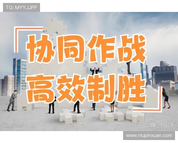 掌握开云登录技巧：让你的在线操作更加顺畅