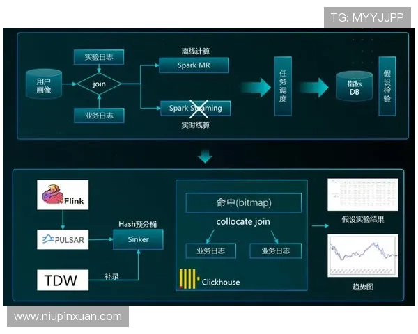 揭示开云体育app评价的背后：数据分析与未来发展预测